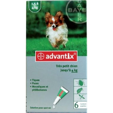 advantix très petit chien