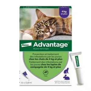 Advantage 80 chat/lapin (4-10Kg)