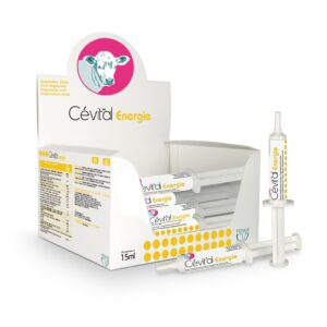 Cetival energie gel oral pour bovins