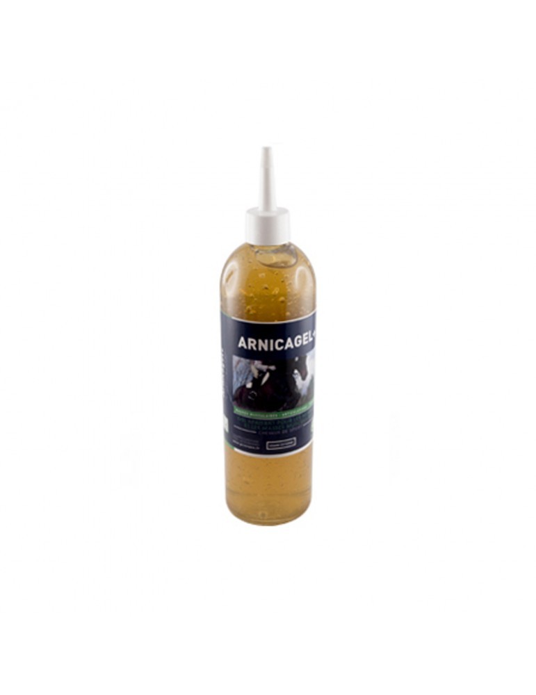 Arnicagel + de Greenpex pour Chevaux - Apaise Muscles, Tendons et Articulations - 500g