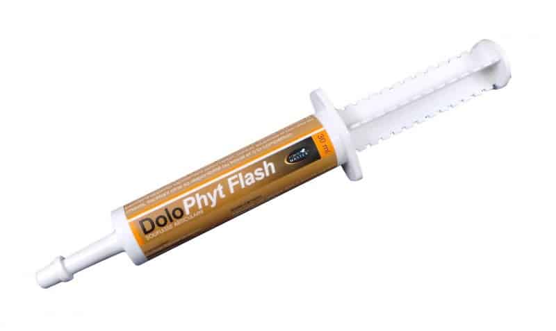 DOLOPHYT FLASH en seringue pour cheval