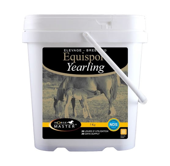 EQUISPORT YEARLING par horse master elevage chevaux