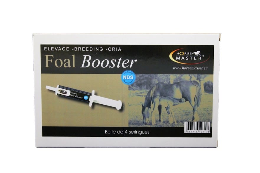 FOAL BOOSTER SERINGUES horse master pour elevage de chevaux