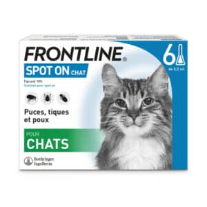 frontline-chat