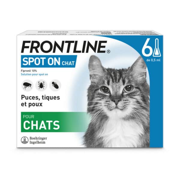 frontline-chat