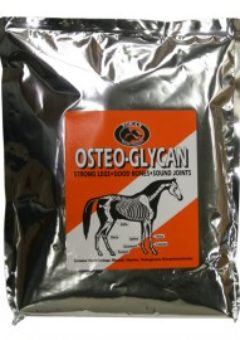 OSTEO GLYCAN pour ossature cheval
