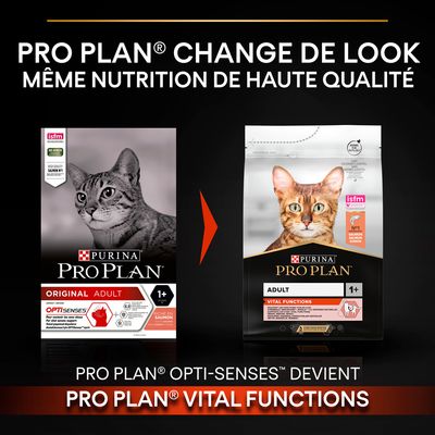Purina Pro Plan Adult Chat adulte – Image 3