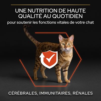 Purina Pro Plan Adult Chat adulte – Image 4