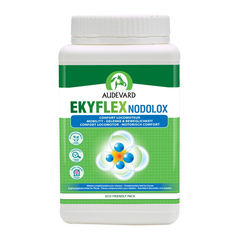 Audevard Ekyflex Nodolox – Cheval