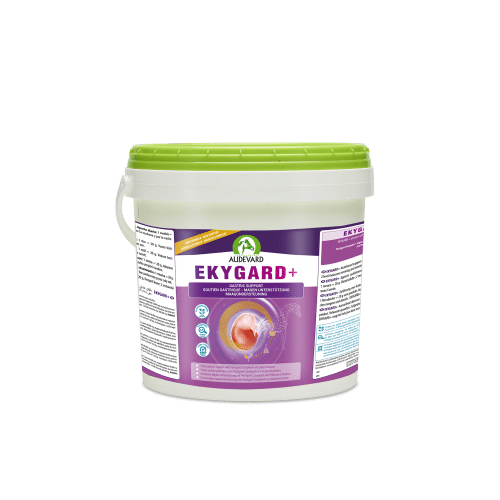 Audevard Ekygard – Cheval
