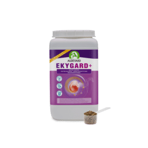 Audevard Ekygard – Cheval