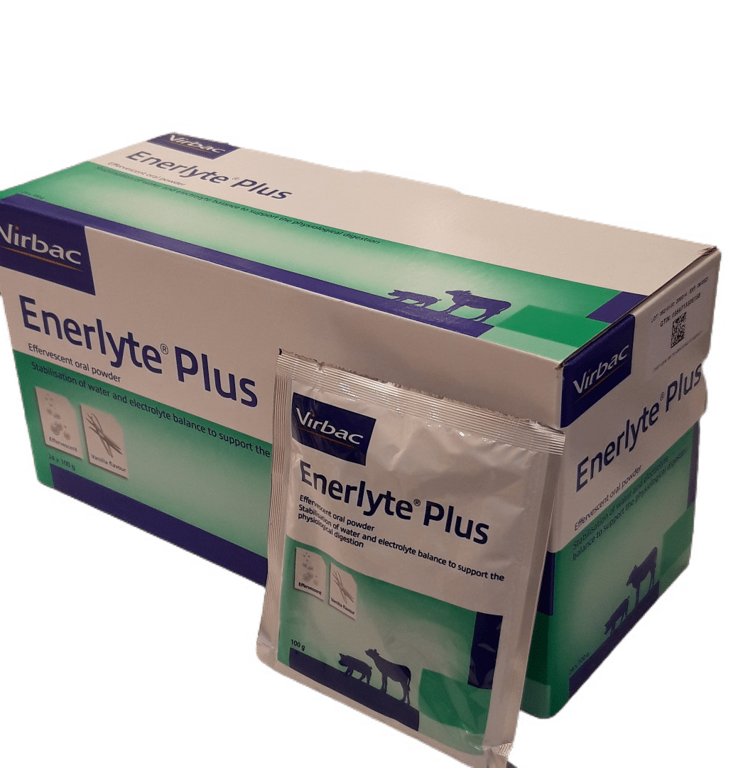 enerlyte plus