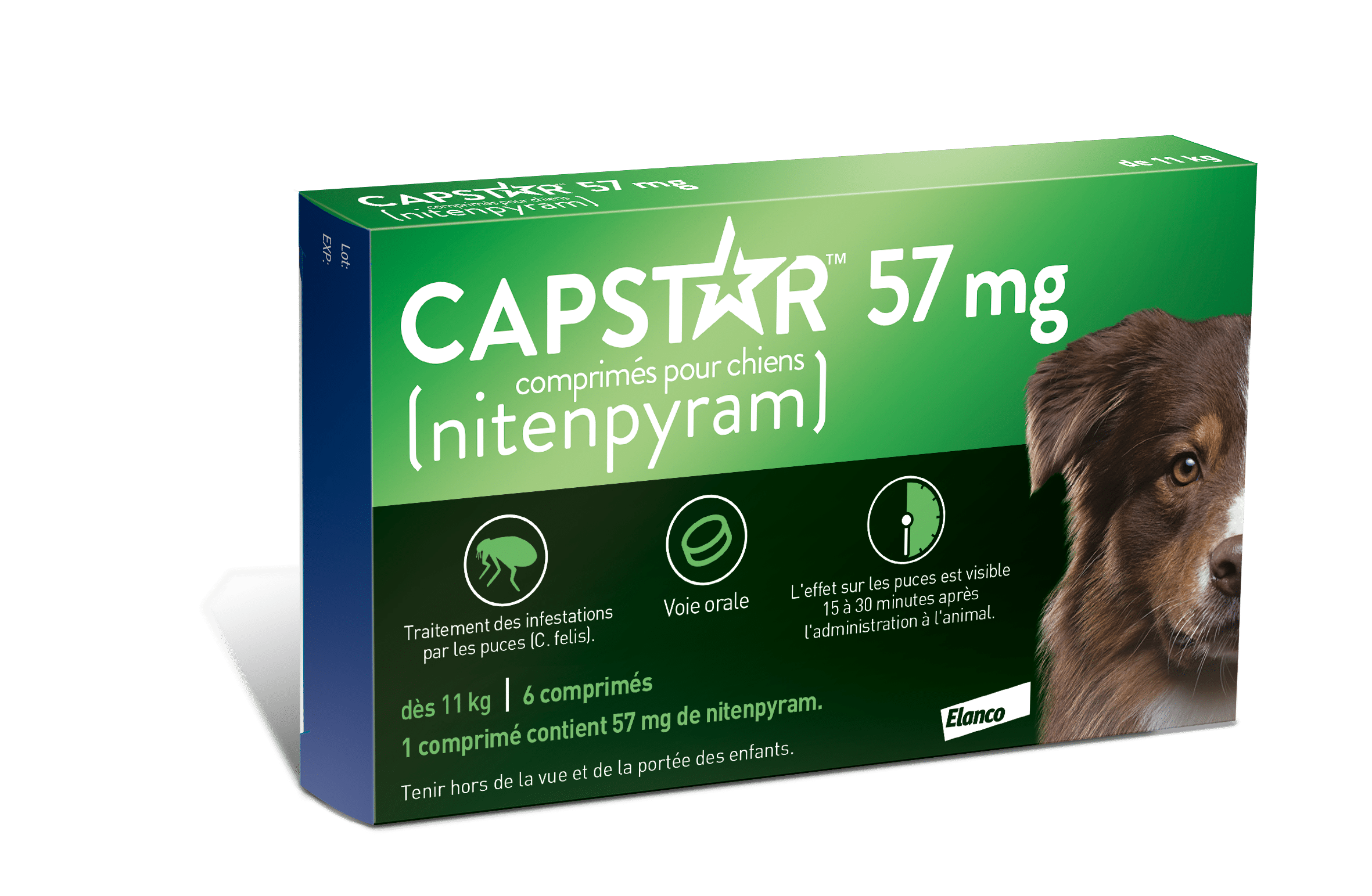 Elanco Capstar 57 mg Chien – Anti-puces action rapide