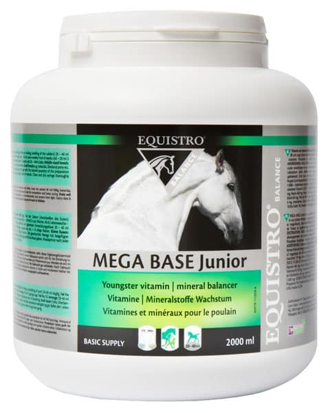 EQUISTRO MEGABASE JUNIOR jeune cheval