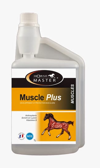 MUSCLE PLUS horse master