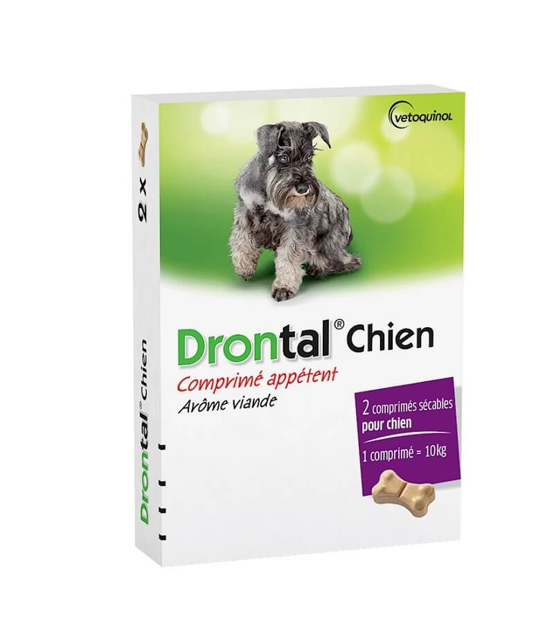 drontal p chien boeuf