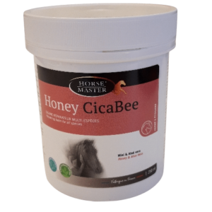 Horse Master Honey Cicabee – Cheval