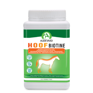 hoof-biotine-audevard-seau-1kg