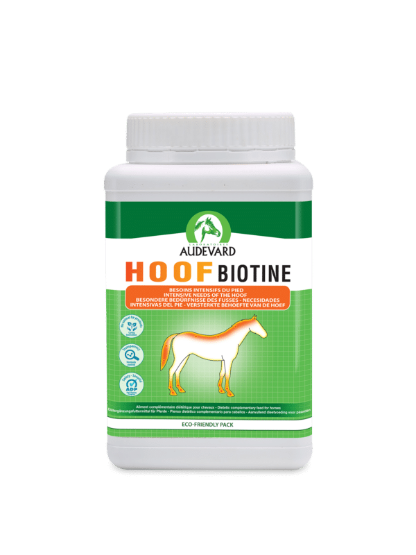 hoof-biotine-audevard-seau-1kg