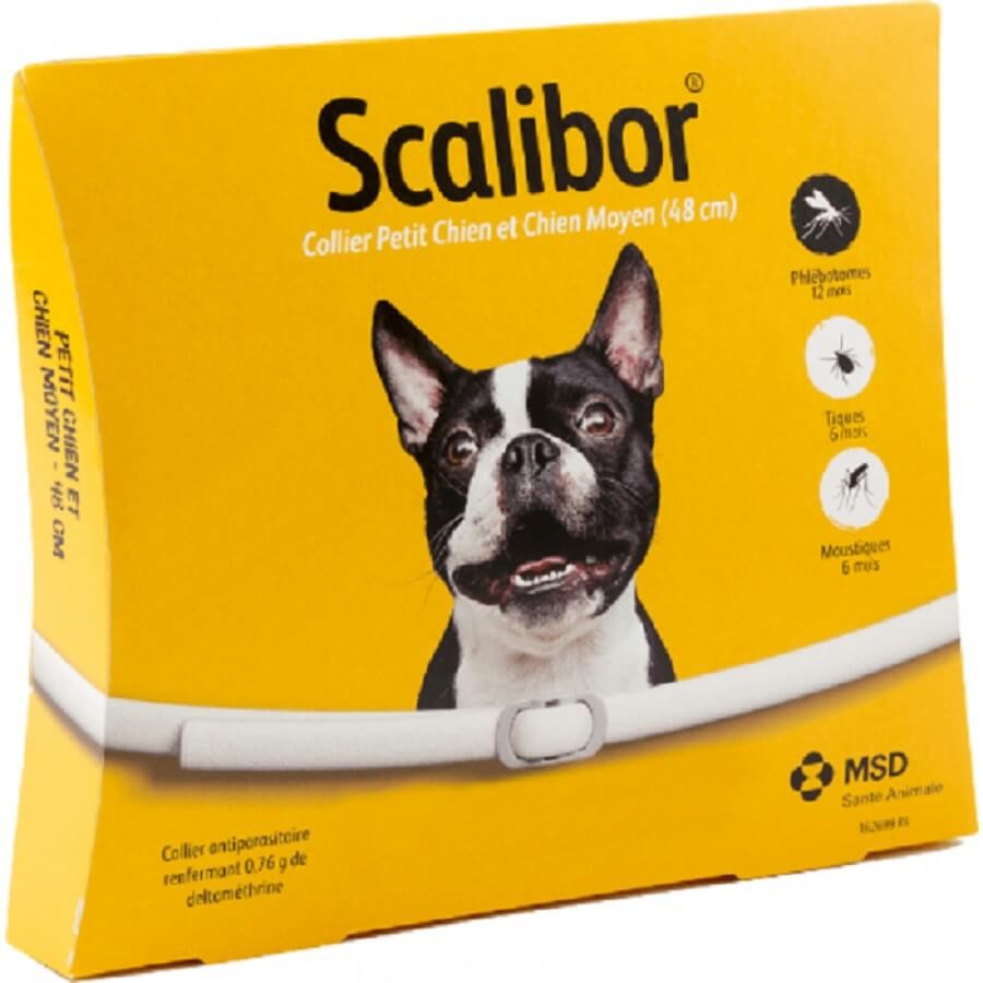 scalibor chien