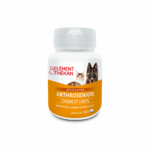 ARTHROSENIOR Clément Thékan : Protection du cartilage du chien