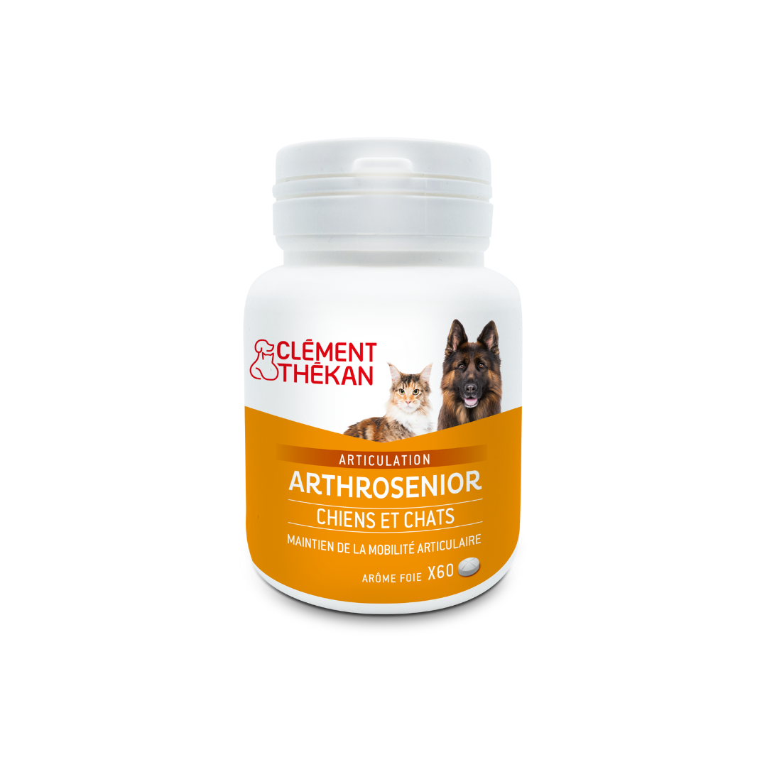 Clément Thékan Arthrosenior Chien – Cartilage