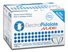 electro pidolate pack troupeau