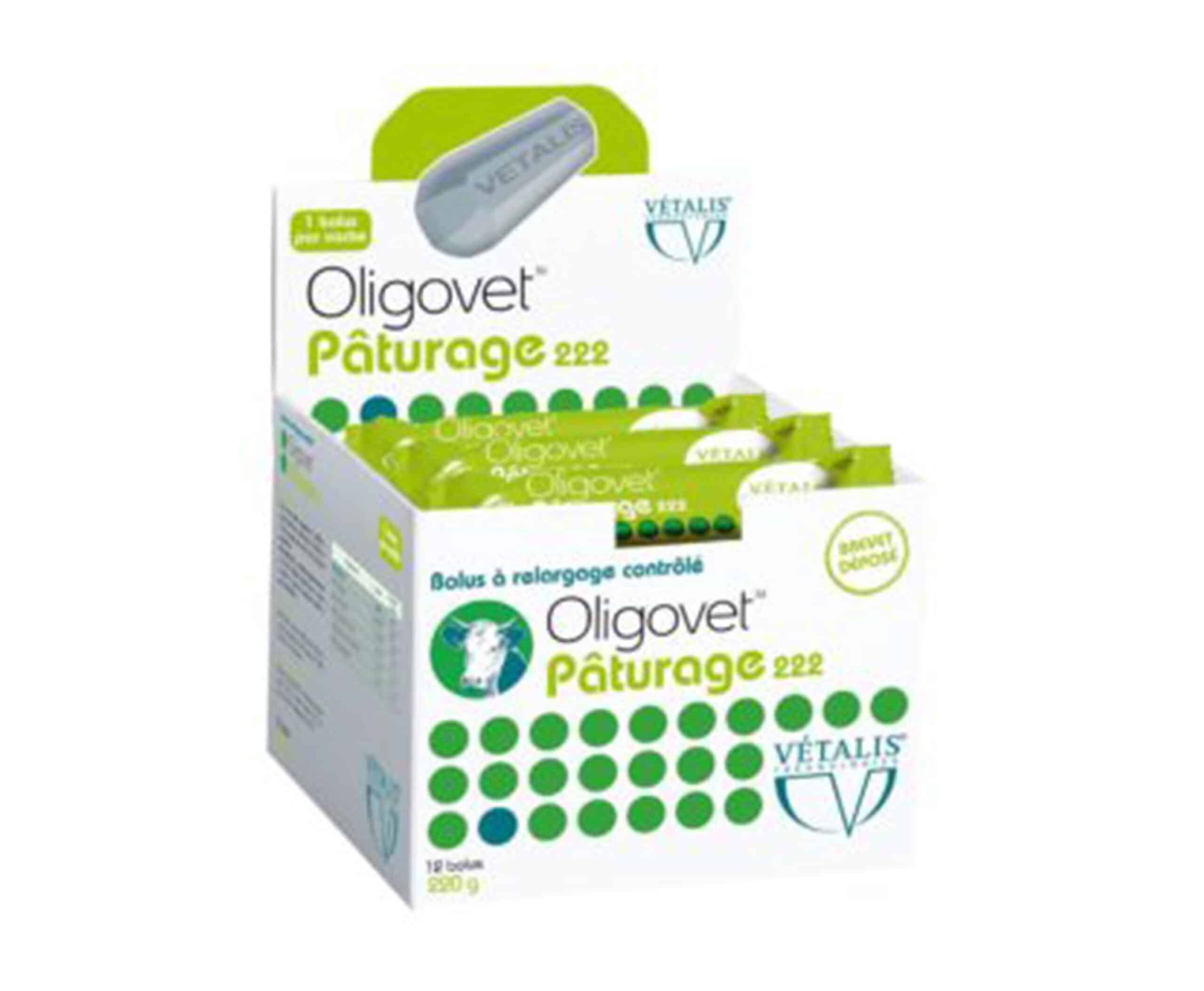 bolus oligovet reproduction vache