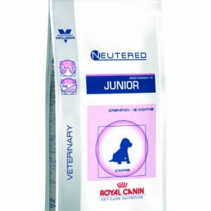 chiiots 12 mois royal canin alimentation pediatrique