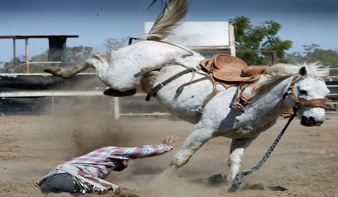 Comment éviter les facteurs de stress chez les chevaux