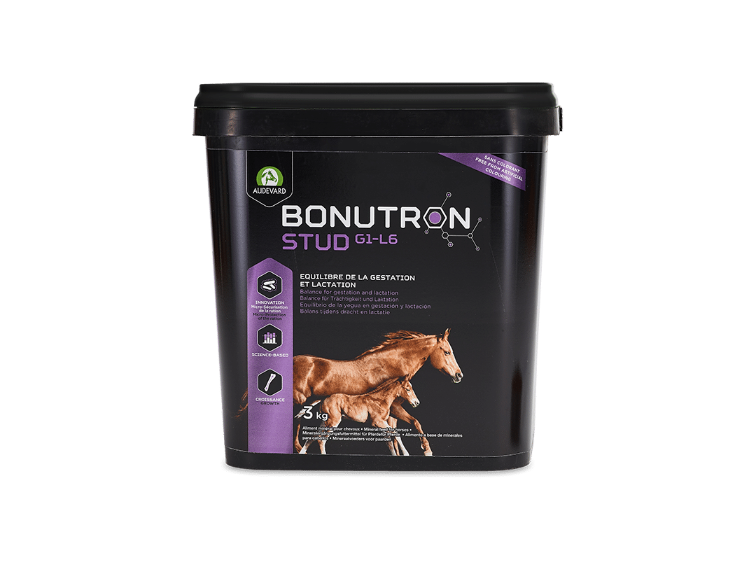 Audevard Bonutron Stud G1-L6 3 kg