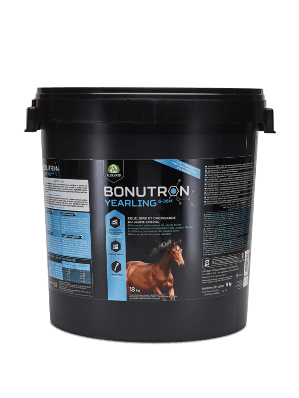 BONUTRON STUD G1-L6 – Poulinière & Poulain sous la mère – Image 3