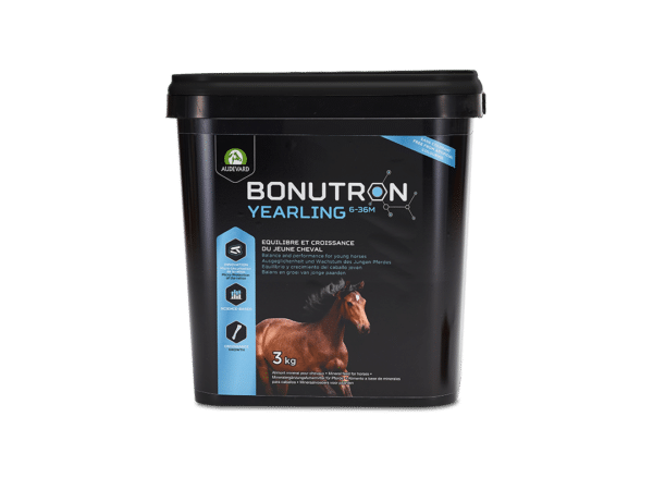 BONUTRON STUD G1-L6 – Poulinière & Poulain sous la mère – Image 2