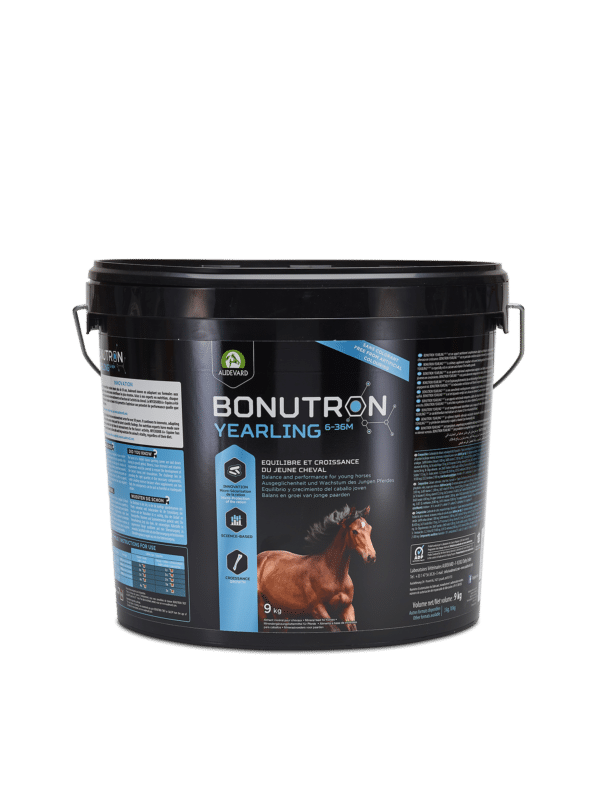BONUTRON STUD G1-L6 – Poulinière & Poulain sous la mère