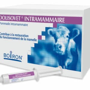 Dolisovet – Vache laitière