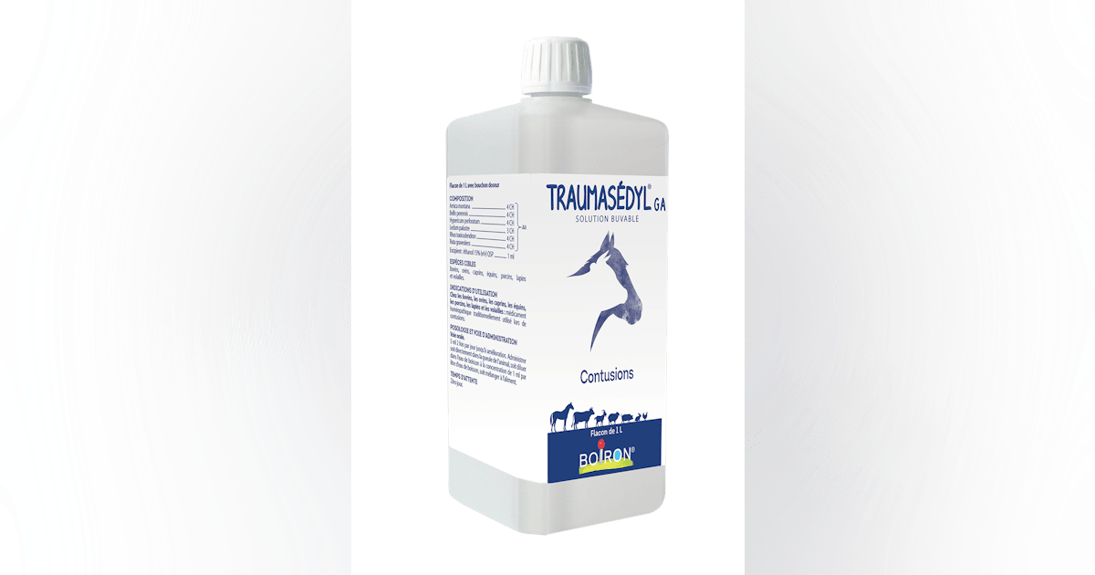 Boiron Traumasedyl GA Tous animaux – Traumatisme