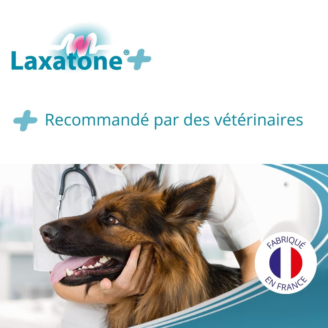 Laxatone Plus 100 g – Chien et Chat – Image 7