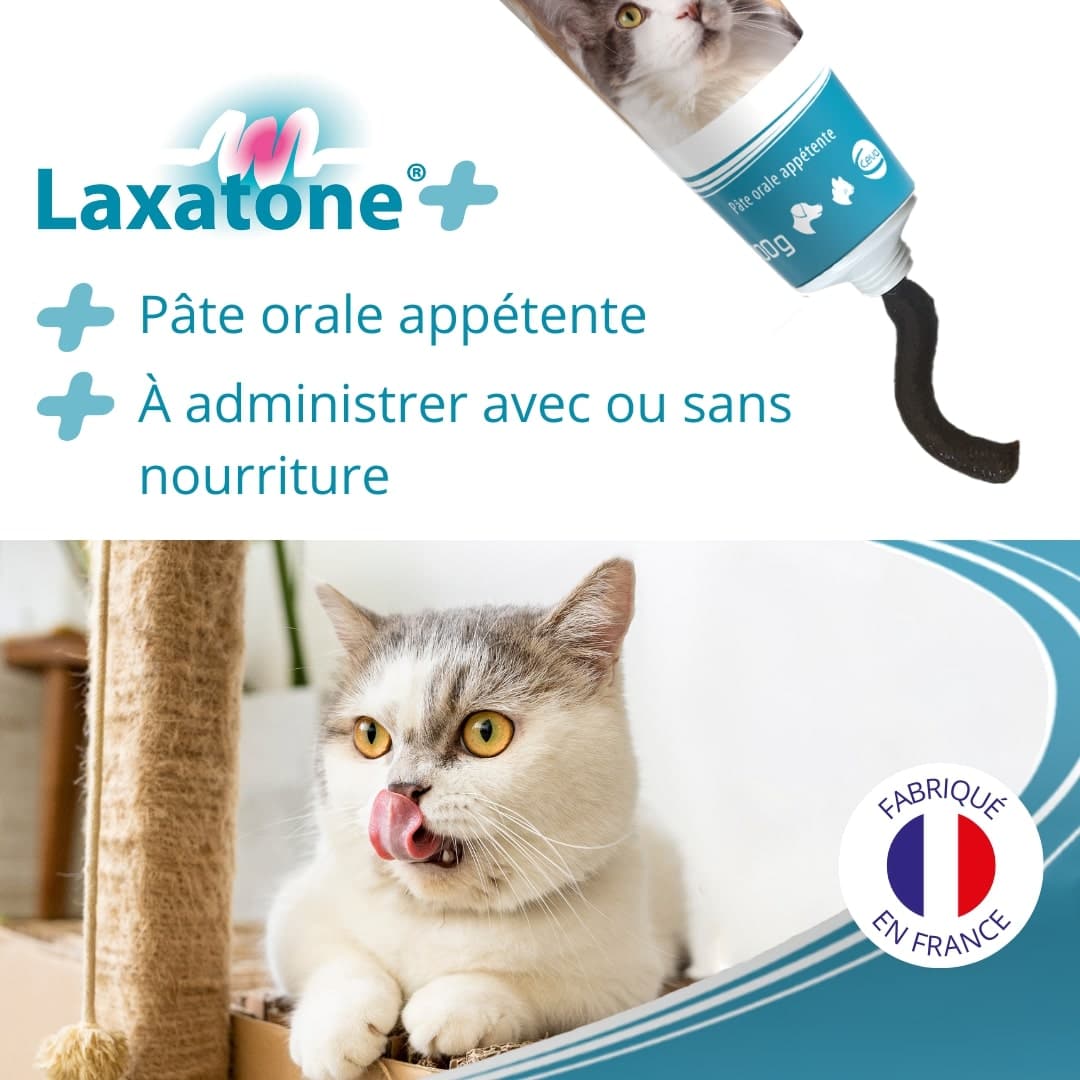 Laxatone Plus 100 g – Chien et Chat – Image 6