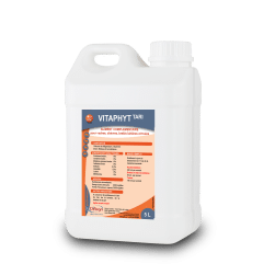 Vitaphyt Tari Bidon 5 L – Vache laitière