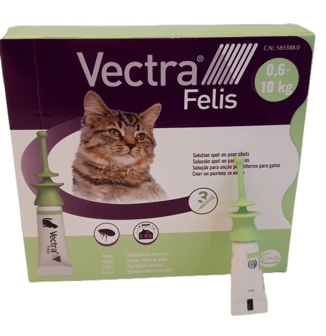 vectra felis pour chat