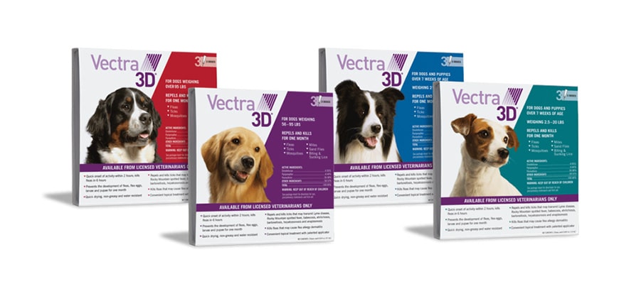 Vectra 3D Chien – Pipettes