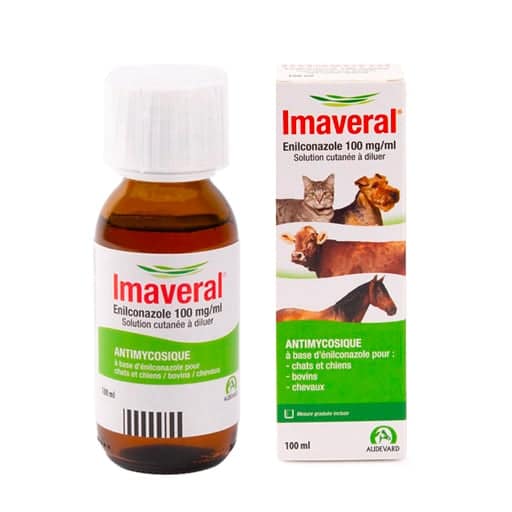 Imaveral Cheval et bovin – Antimycosique