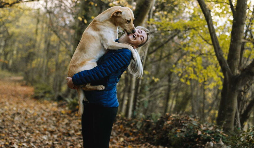 complément alimentaire chien