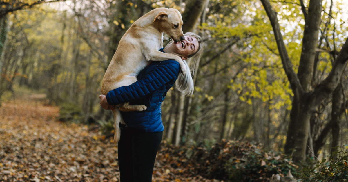 complément alimentaire chien