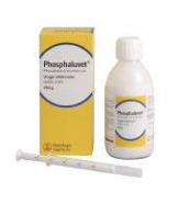 PHOSPHALUVET 250g gel