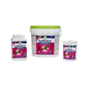 Audevard Harpagyl – Articulations cheval
