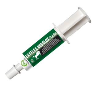 Audevard Ekyflex Nodolox Flash Cheval