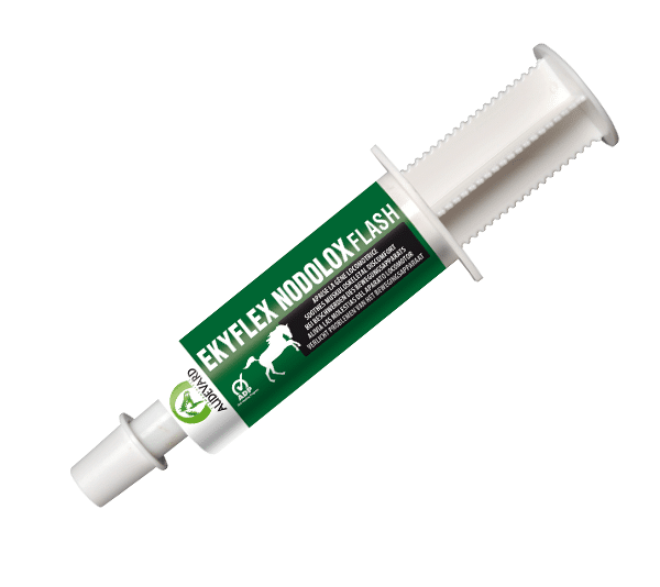 Audevard Ekyflex Nodolox Flash Cheval