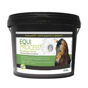 Audevard Equiprocess Cheval – Énergie cheval
