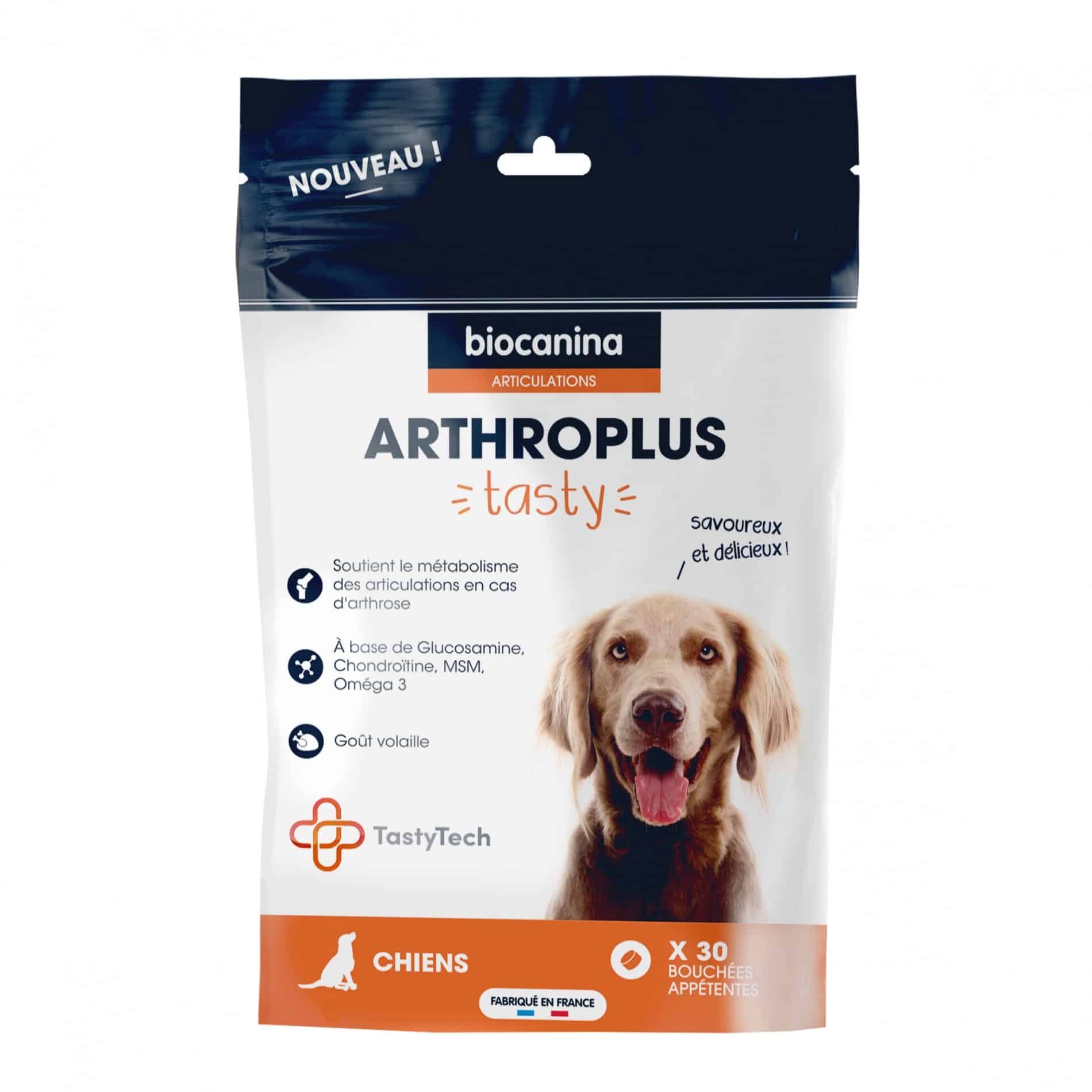 Arthrose chien : complément alimentaire pour soulager votre chien